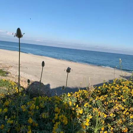 Daire Fronte Climatizzato